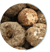 Ignitra Ingredients