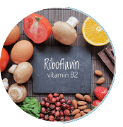 Ignitra Ingredients